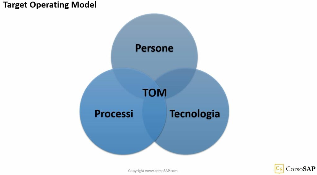 Il Target Operating Mode nel roll out di un software ERP